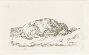 Chien endormi avec la tête reposant sur les pattes avant