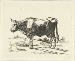 Vache debout - Jan Dasveldt