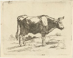 Vache debout - Jan Dasveldt