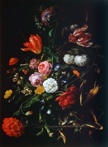 Nature morte