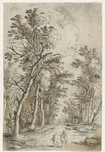 Sentier forestier - Jan Fouceel