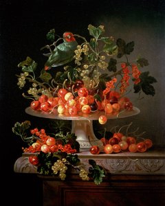 Nature morte de cerises et de groseilles avec un perroquet