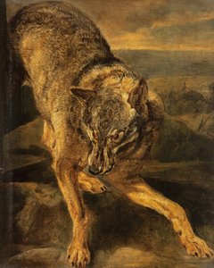 Un loup - Jan Fyt