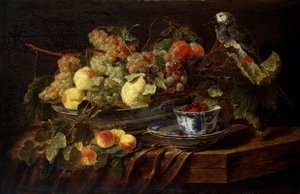 Nature morte avec fruits et perroquet, 1645