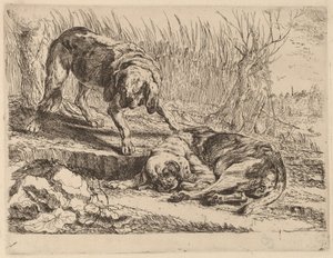 Deux Beagles, un dormant - Jan Fyt