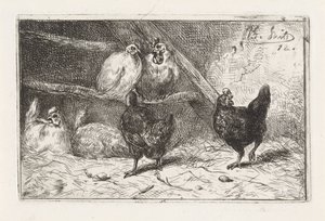 Coq et cinq poules dans un enclos - Jan Gerard Smits