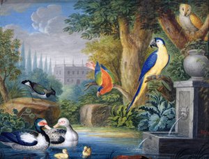 Oiseaux exotiques dans un jardin ornemental, vers 1650