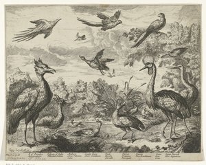 Différents oiseaux dans un paysage - Jan Griffier (I) (copy after)