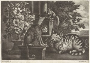 Singe, chat, écureuil et pie - Jan Griffier (I)