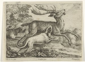 Chasse au cerf - Jan Griffier (I)