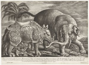 Éléphant et rhinocéros - Jan Griffier (I)