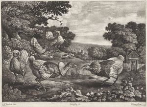 Poules combattantes - Jan Griffier (I)