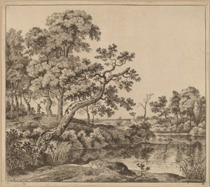 Paysage avec un arbre courbé - Jan Hackaert