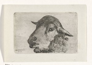 Tête de mouton - Jan Heppener