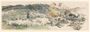 Paysage de dunes