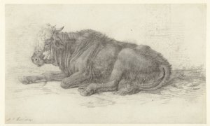 Vache couchée - Jan Joost van Cossiau