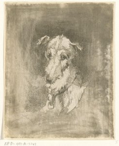 Tête de lévrier - Jan Karel Jacob de Jonge