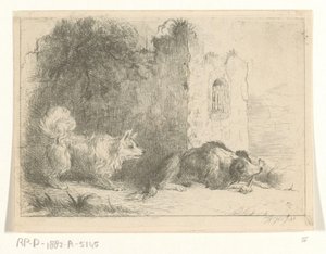 Deux chiens