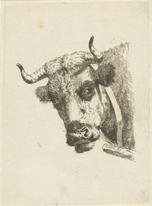 Tête de vache - Jan Kobell (II)