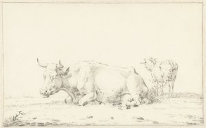 Vache couchée vers la gauche et mouton à droite - Jan Kobell (II)