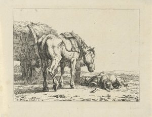 Cheval et chien près d