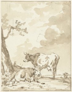 Deux vaches près d