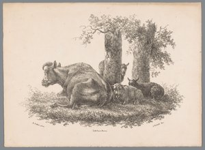 Une vache et trois moutons - Jan Kobell (III)