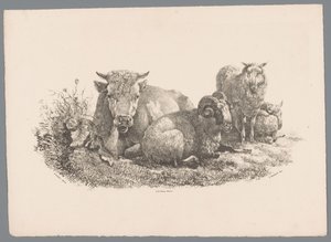 Vache, bélier et deux moutons - Jan Kobell (III)