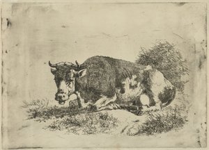 Vache couchée
