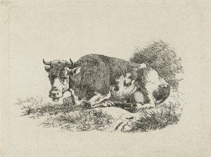 Vache couchée
