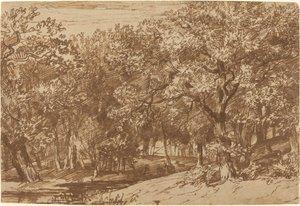 Parc aux cerfs
