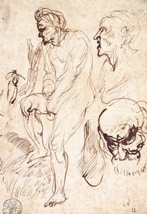 Études après le modèle - Jan Lievens