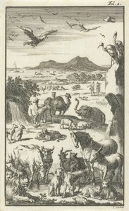 La création - Jan Luyken