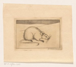 Souris - Jan Mankes (signed by artist)