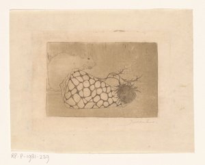 Souris, coquillage et chardon