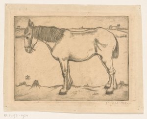 Cheval - Jan Mankes (signed by artist)