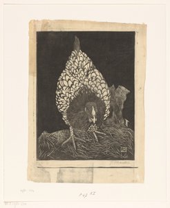 Wyandotte argentée - Jan Mankes (signed by artist)
