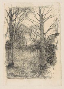 Lisière de forêt - Jan Mankes