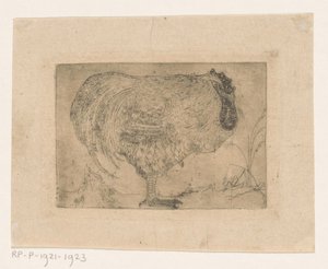 Coq recroquevillé - Jan Mankes