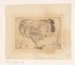Coq recroquevillé - Jan Mankes