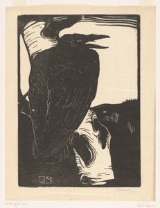 Corbeau sur un bouleau