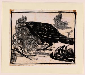 Corbeau criant, vers la gauche