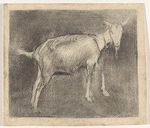 Chèvre debout - Jan Mankes