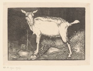 Chèvre blanche - Jan Mankes