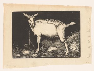 Chèvre blanche - Jan Mankes
