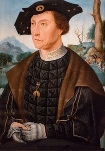Portrait de Jan van Wassenaer vicomte de Leyde, gouverneur de la Frise - Jan Mostaert