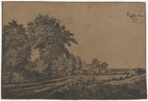 Chemin de campagne avec arbres - Jan Ruyscher