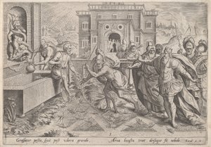 La plaie des sauterelles