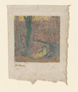 Hêtres nus le long d