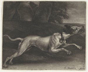 Chien courant